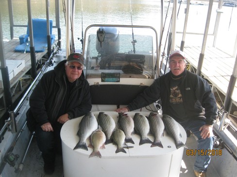 Nice Striped Bass